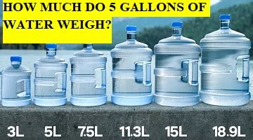 How Many Pounds is 5 Gallons of Paint? And Why Does It Feel Like Carrying a Small Elephant?