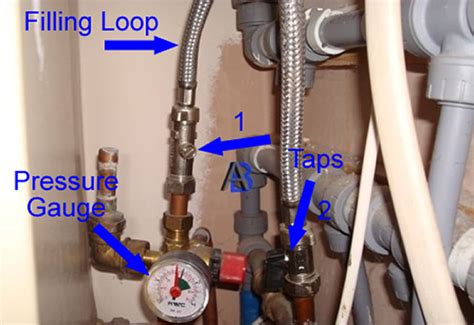 How to Bleed a Boiler System: And Why Your Cat Might Be the Best Plumber You Never Knew You Needed