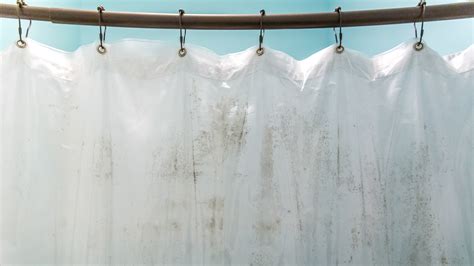 How to Clean a Moldy Shower Curtain: Why Pineapples Don’t Belong in the Bathroom