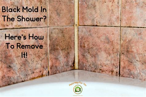 How to Get Mold Out of Shower Curtain: And Why It’s Like Teaching a Cat to Swim