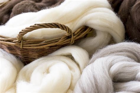  Wool ve Özellikleri: Tekstil Endüstrisinde Sıcak Bir Malzeme!