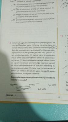  Wool: Sıcaklığı ile Dokunuşu Birleştiren Doğal Bir Harika mı?